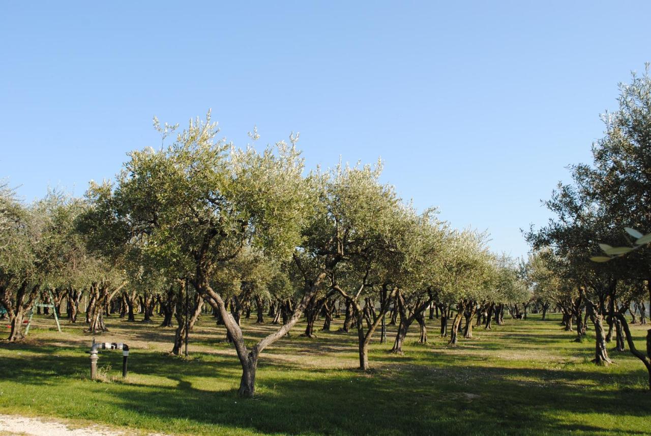 Agriturismo Melograno D'Oro Bardolino Extérieur photo