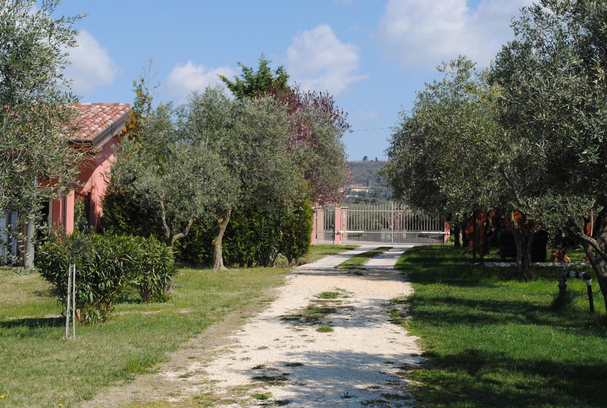 Agriturismo Melograno D'Oro Bardolino Extérieur photo