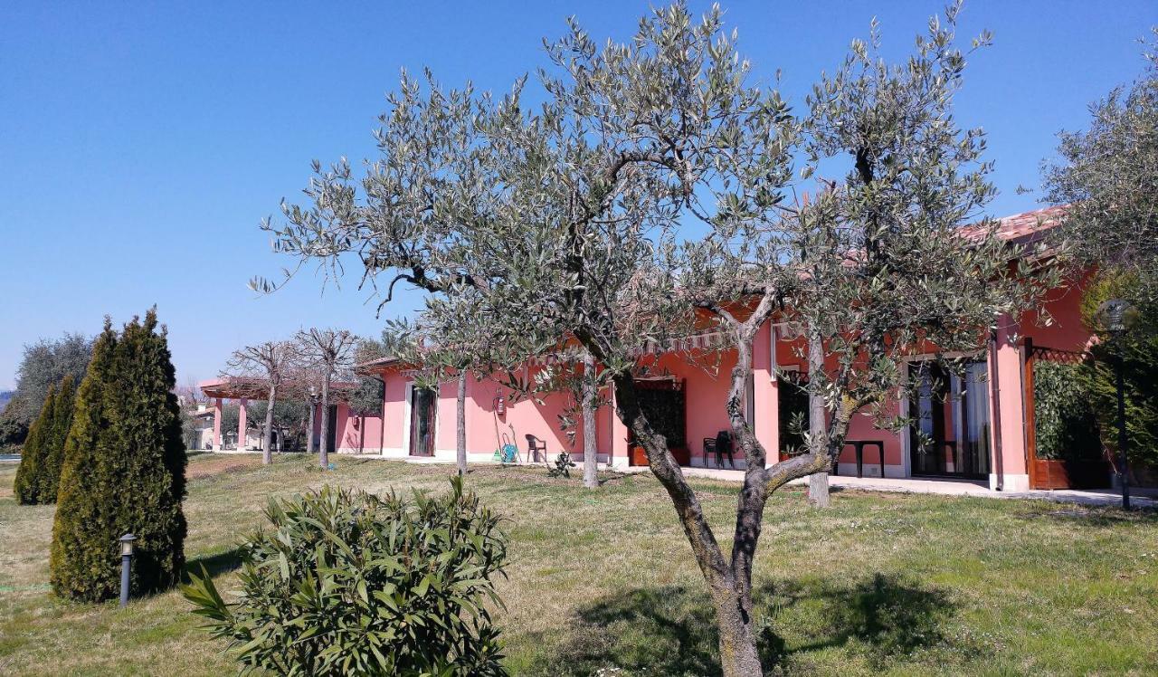 Agriturismo Melograno D'Oro Bardolino Extérieur photo